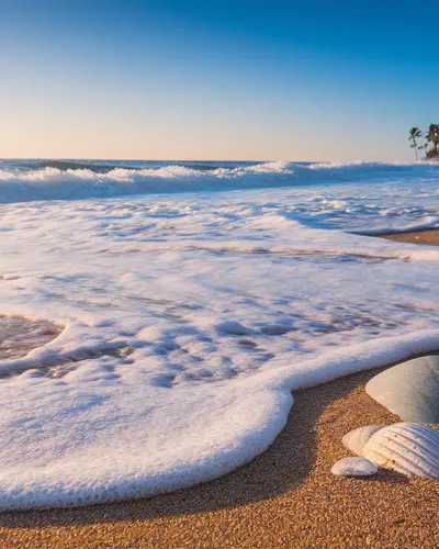 Time and Tide Wait for No Man: Meaning, Origin, and Examples